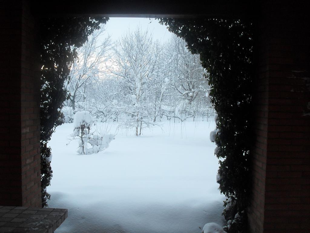 Bed & Breakfast Milu Cuneo Exterior foto